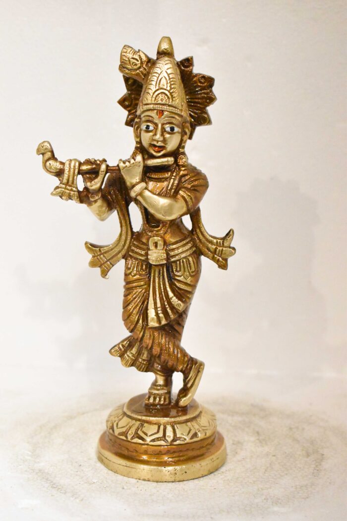 krishna Center View Panchdhatu Murti